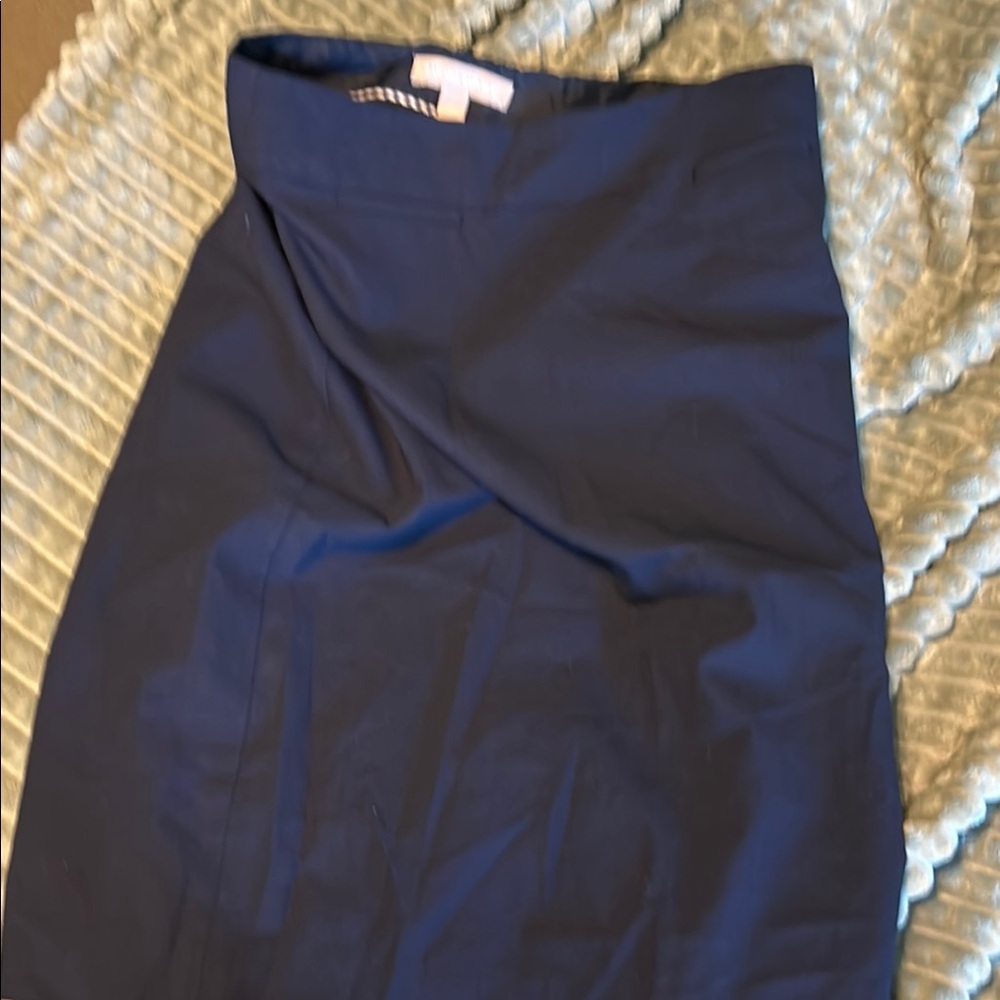 Elegant Navy Blue Women's Skirt